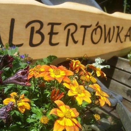 Albertowka Trzciel 外观 照片